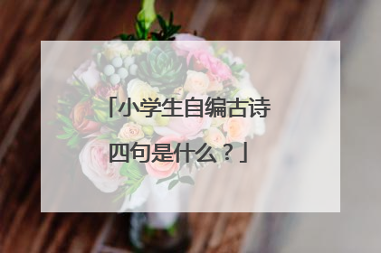 小学生自编古诗四句是什么？