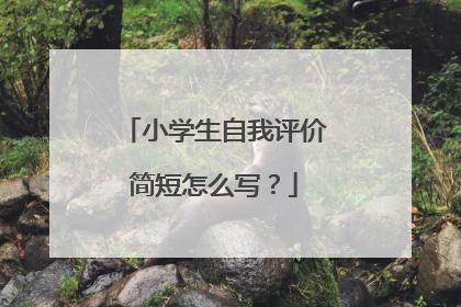 小学生自我评价简短怎么写?