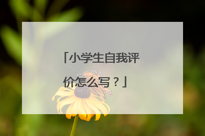 小学生自我评价怎么写?