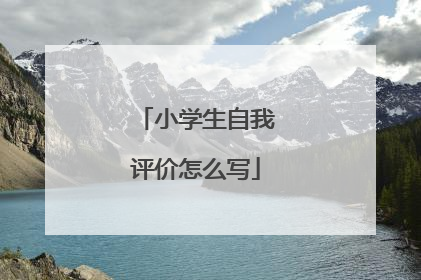 小学生自我评价怎么写