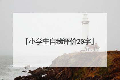 小学生自我评价20字
