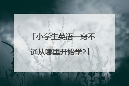 小学生英语一窍不通从哪里开始学?