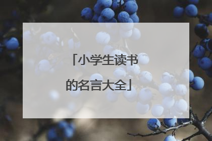 小学生读书的名言大全