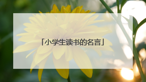 小学生读书的名言