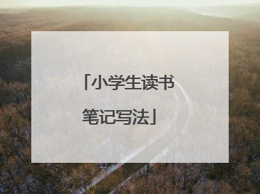 小学生读书笔记写法