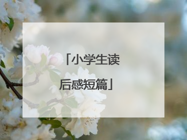 小学生读后感短篇