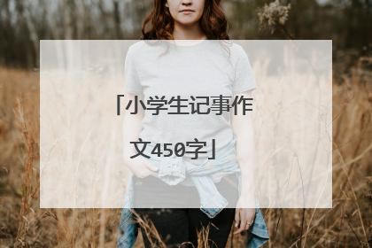 小学生记事作文450字