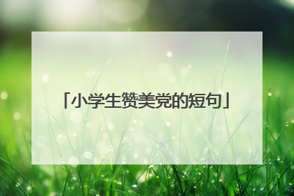 小学生赞美党的短句