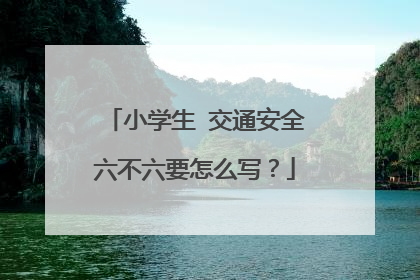 小学生交通安全六不六要怎么写?