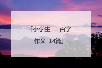 小学生 一百字 作文 14篇