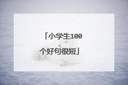 小学生100个好句很短