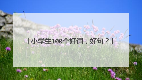 小学生100个好词，好句？