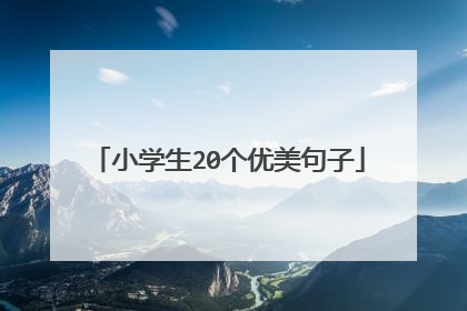小学生20个优美句子