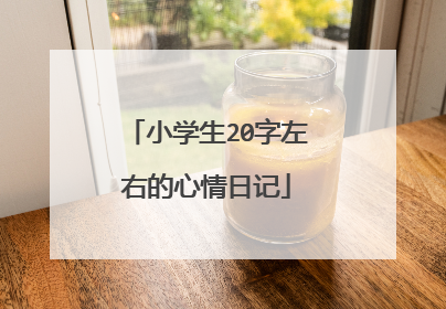 小学生20字左右的心情日记
