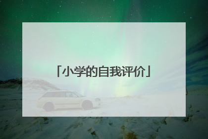 小学的自我评价