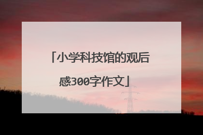 小学科技馆的观后感300字作文