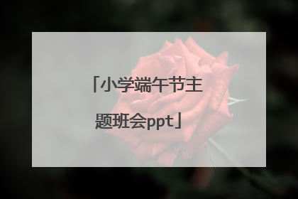 小学端午节主题班会ppt