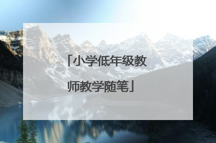 小学低年级教师教学随笔