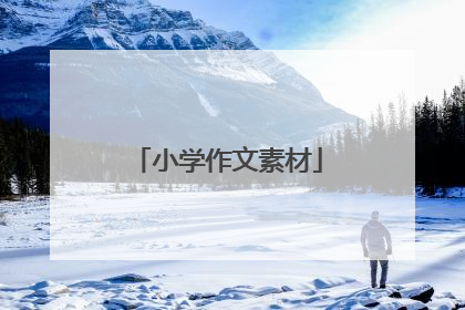 小学作文素材