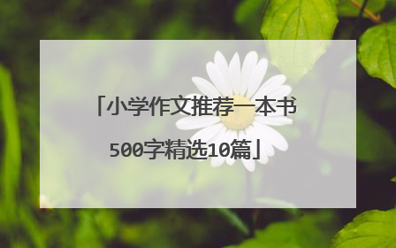 小学作文推荐一本书500字精选10篇