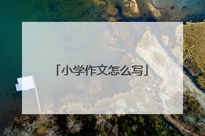 小学作文怎么写