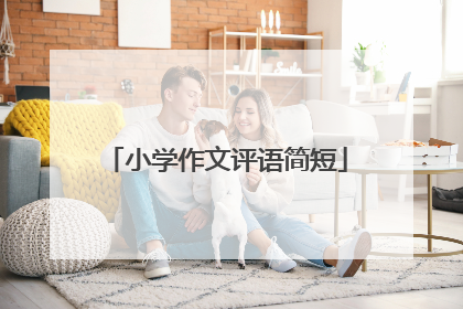 小学作文评语简短