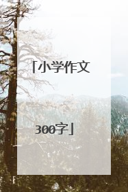 小学作文300字