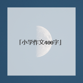 小学作文400字
