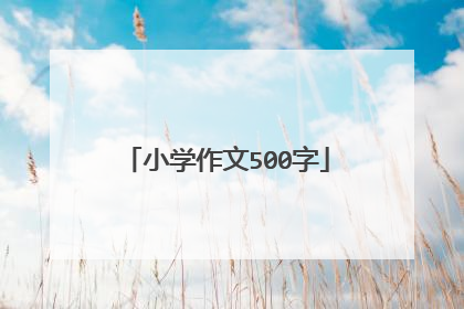 小学作文500字