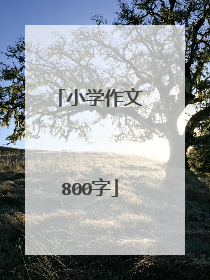 小学作文800字