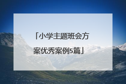 小学主题班会方案优秀案例5篇