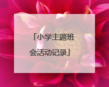 小学主题班会活动记录