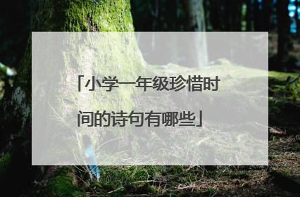 小学一年级珍惜时间的诗句有哪些