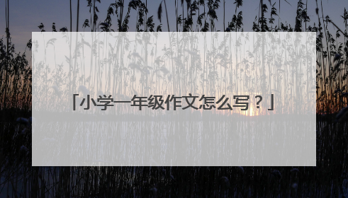 小学一年级作文怎么写?