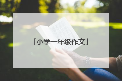 小学一年级作文