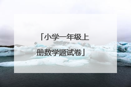 小学一年级上册数学题试卷
