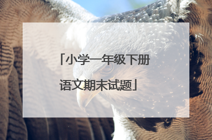 小学一年级下册语文期末试题