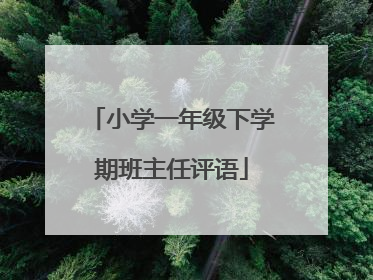 小学一年级下学期班主任评语