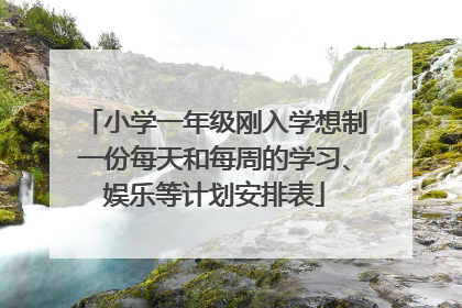 小学一年级刚入学想制一份每天和每周的学习、娱乐等计划安排表