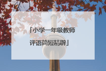 小学一年级教师评语简短精辟