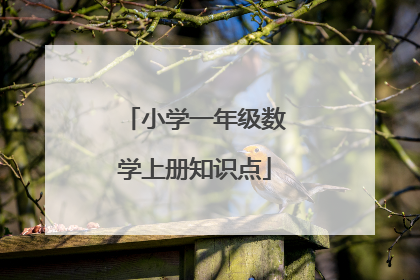 小学一年级数学上册知识点