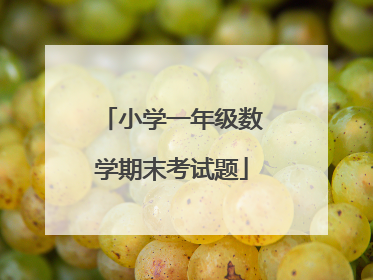 小学一年级数学期末考试题