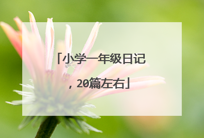 小学一年级日记，20篇左右