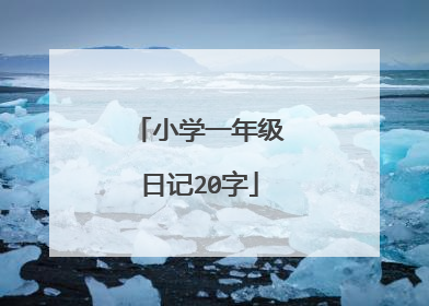 小学一年级日记20字