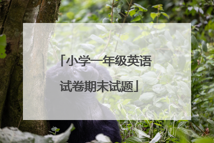 小学一年级英语试卷期末试题