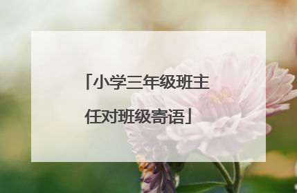 小学三年级班主任对班级寄语