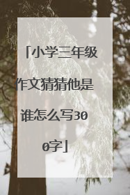 小学三年级作文猜猜他是谁怎么写300字