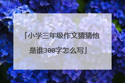 小学三年级作文猜猜他是谁300字怎么写