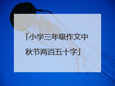 小学三年级作文中秋节两百五十字