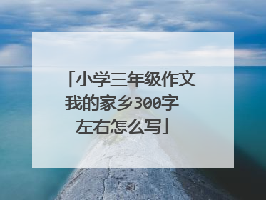 小学三年级作文我的家乡300字左右怎么写